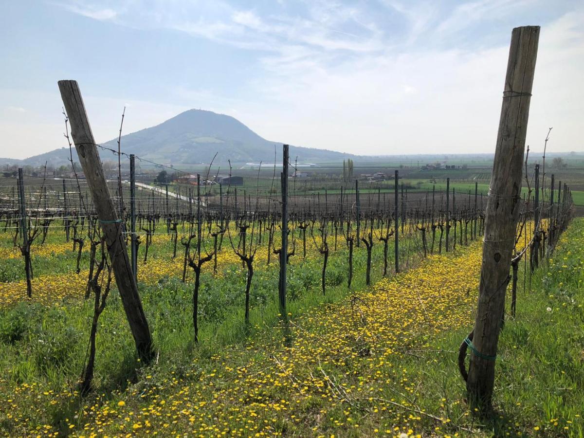 B&B Ai Filari Baone Bagian luar foto
