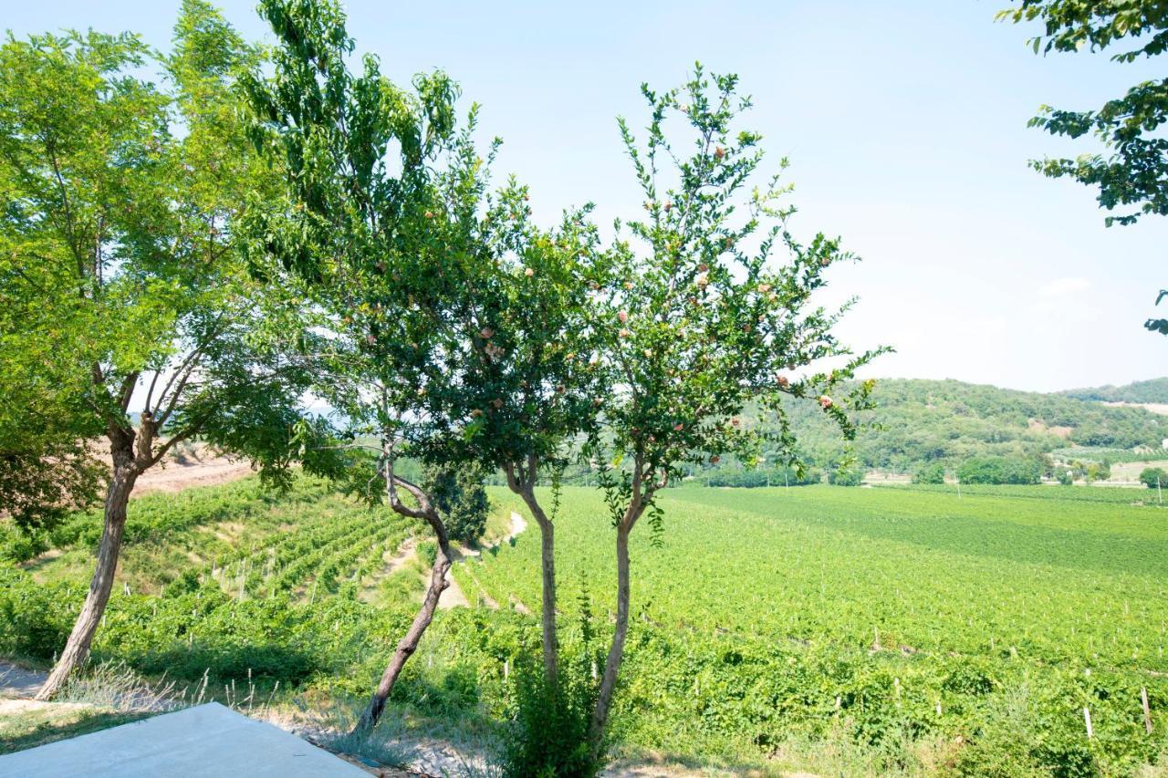 B&B Ai Filari Baone Bagian luar foto